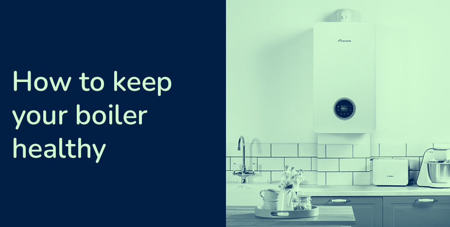 How To Keep Your Boiler Healthy - Easyboilers